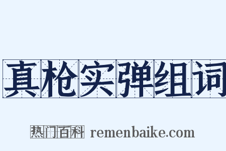 真枪实弹组词是什么意思的图片